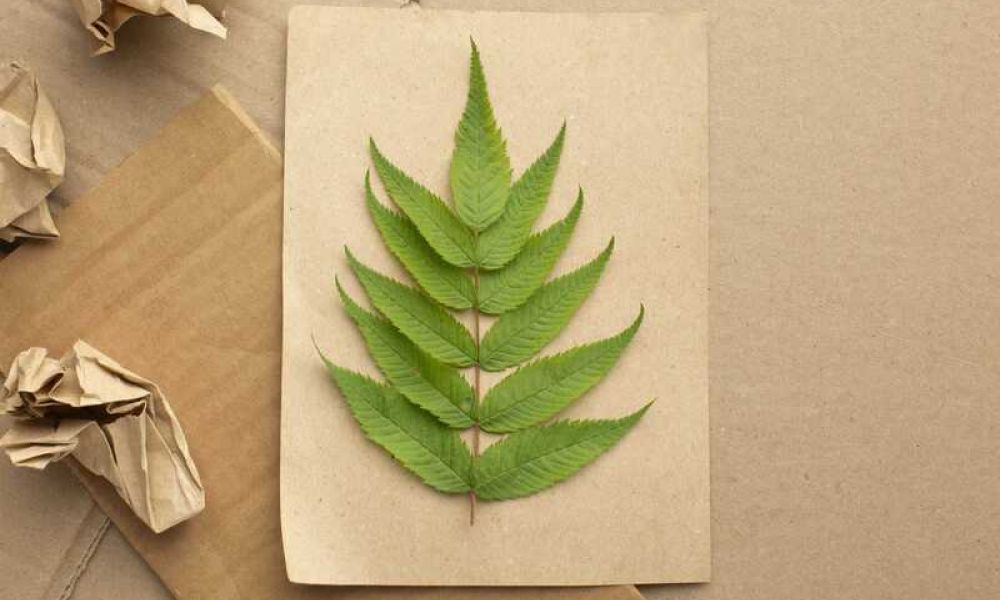 São Paulo se destaca com sustentabilidade com a 2ª edição da “Love Paper Week”