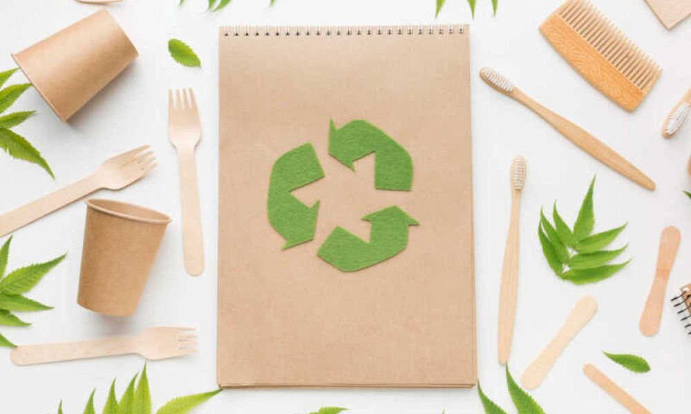 Sustentabilidade em embalagens de papel: o que realmente importa na hora de escolher o material